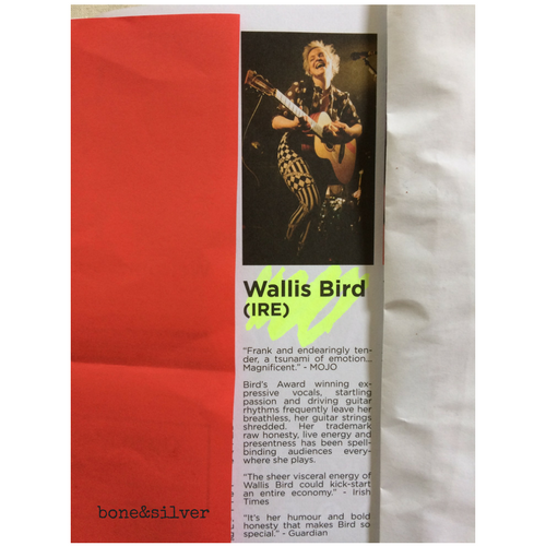 Wallis Bird performing in Australia