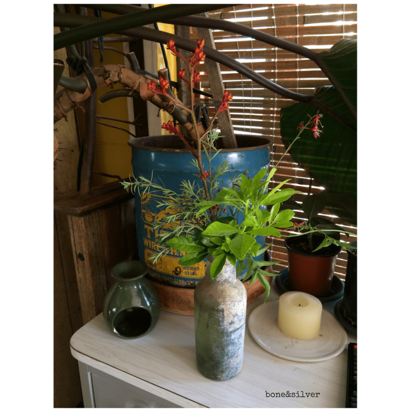 A jar of native Australian flowers hand picked and arranged #nativeflowers #Australia #over50 #love #gesture