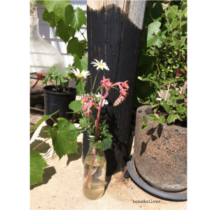 A jar of native Australian flowers hand picked and arranged #nativeflowers #Australia #over50 #love #gesture