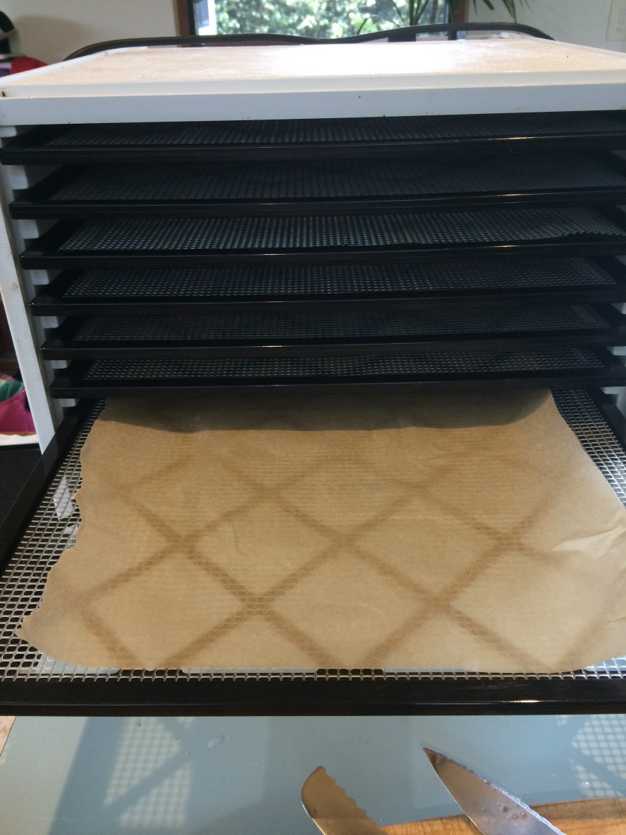 Excalibur Dehydrator #thebest #wellbeing homemade food