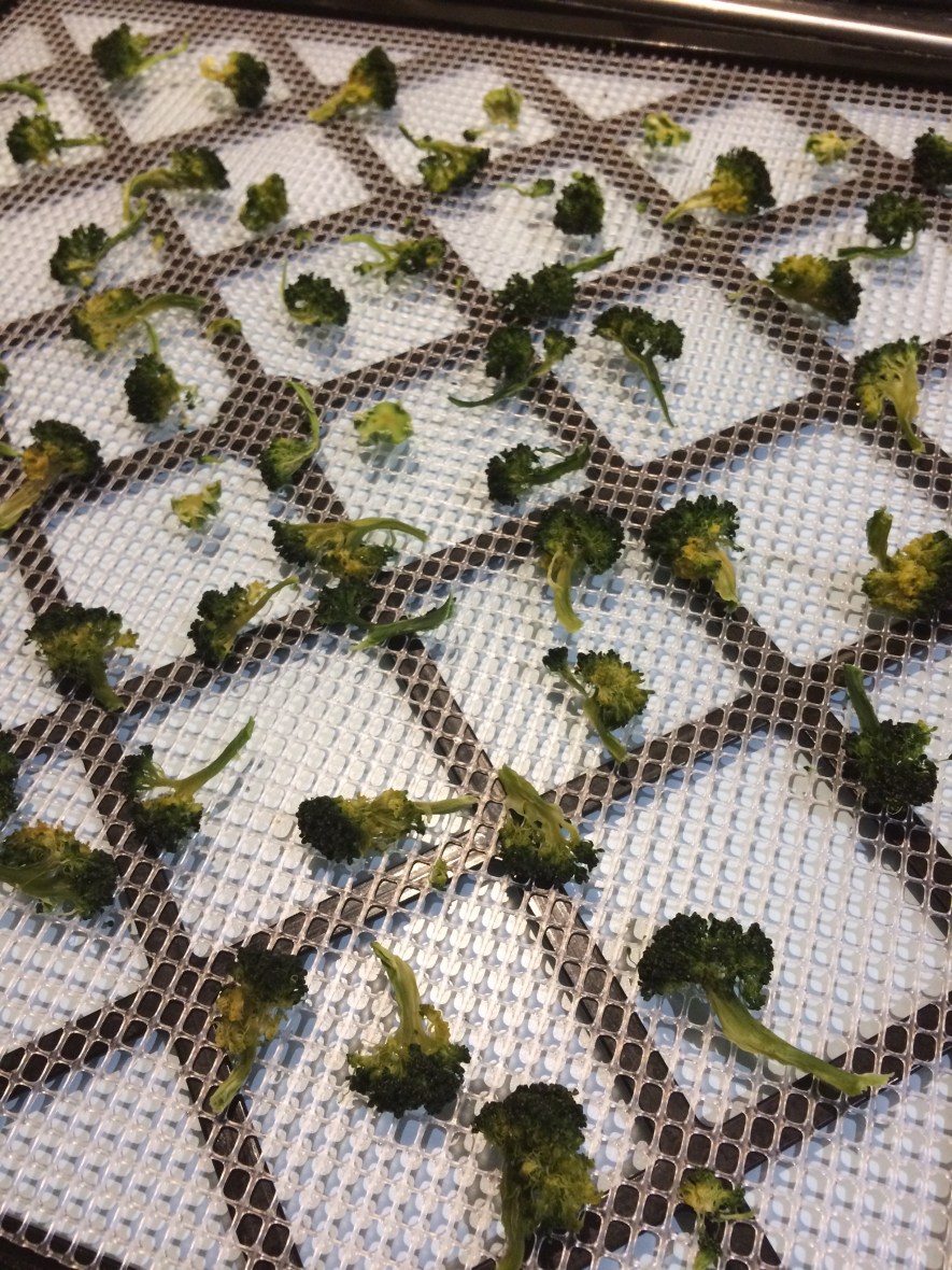 dehydrated broccoli head #organic #selfcare #over50