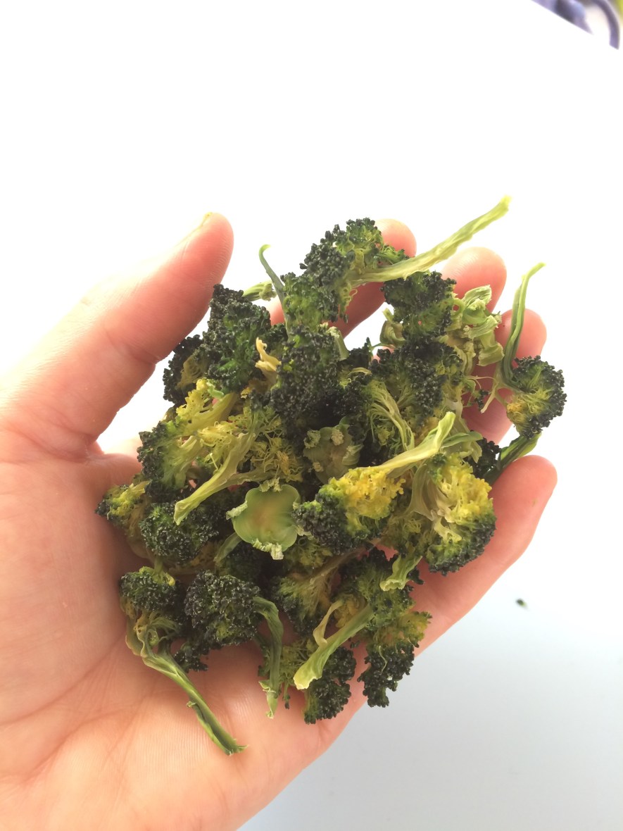 A whole broccoli head dehydrated! #organic #dehydratedfood #bushwalking #australia