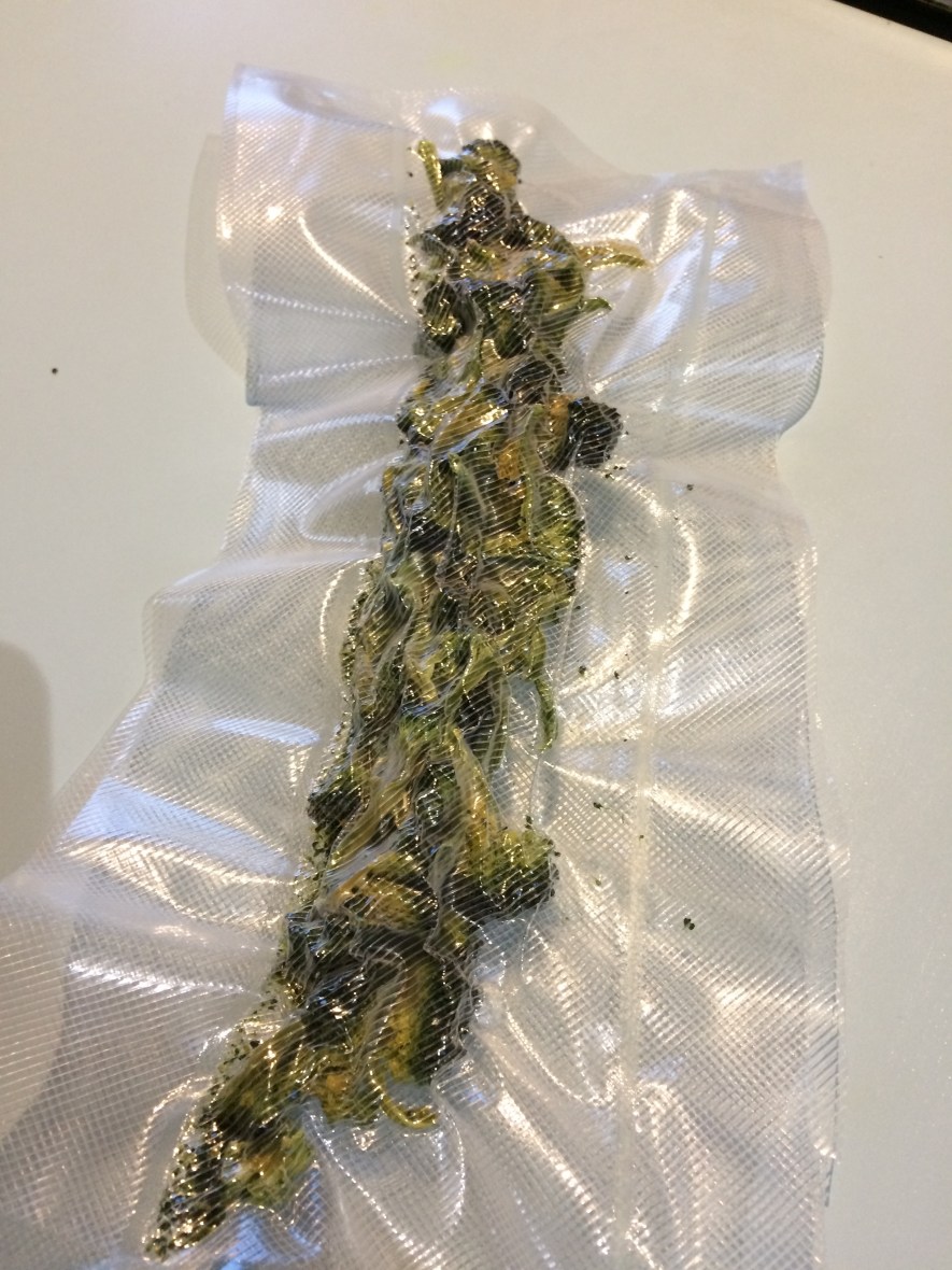 A whole broccoli head dehydrated and vacuum sealed #organic #dehydratedfood #bushwalking #australia