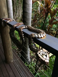 Snake on a railing #Australia #ecovillage #rainforest #over50