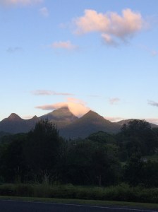 Permaculture principles for slow living, wellbeing, and selfcare over 50