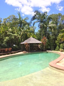 boneAndsilver blog 'Day 5'