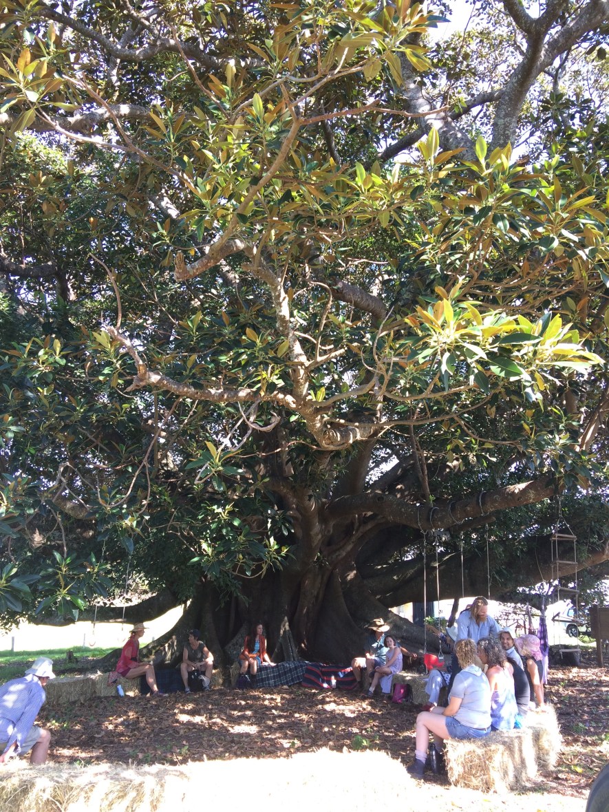 #Australia #ecovillage #permaculture #nature #over50blogger @boneAndsilver #wellbeing #intentionalcommunity