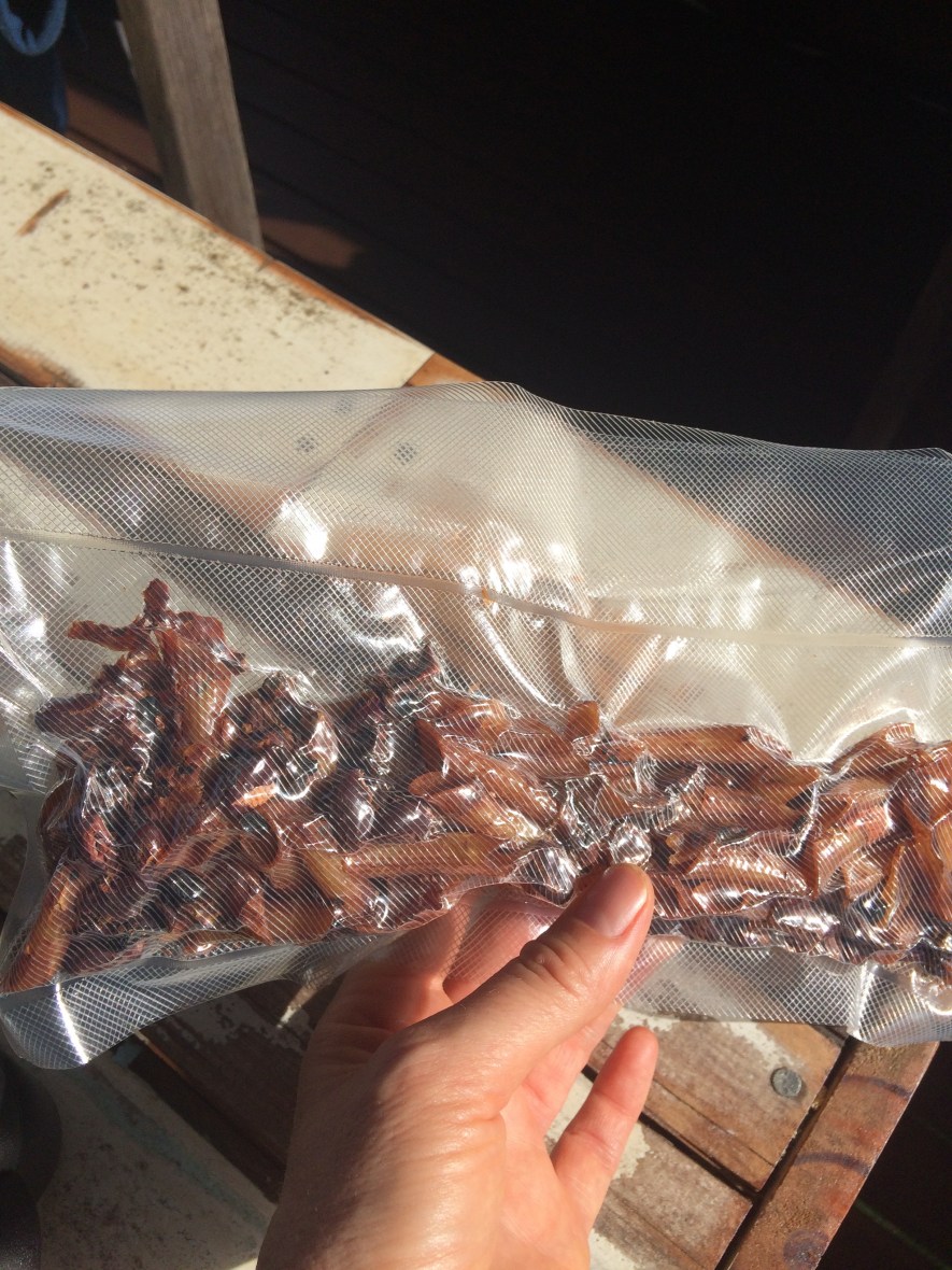 Dehydrated vegetarian meals packaged #dehydratedmeal #vegetarian #wellbeing