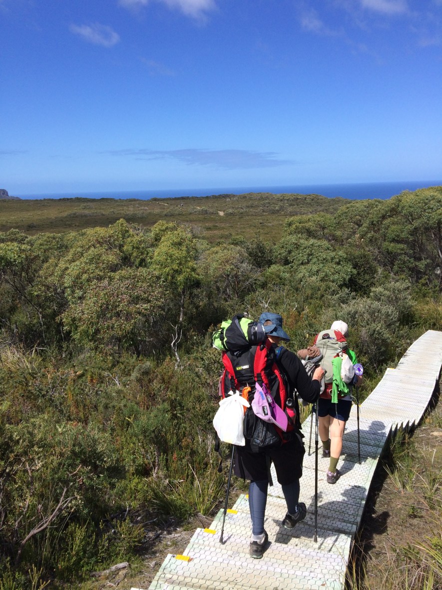 Cliff views on a hiking adventure in Tasmania for wellbeing and a 50th birthday adventure