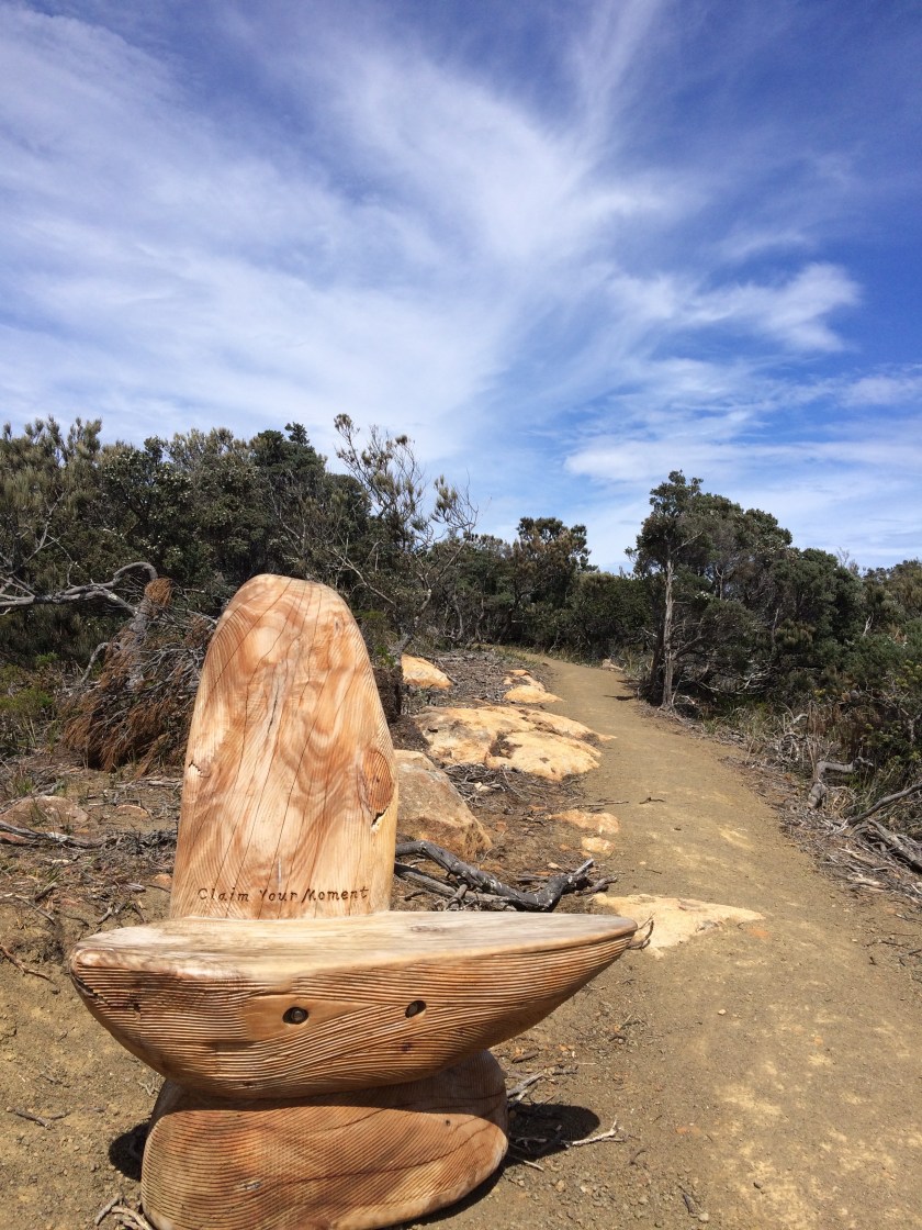 A moment of Mindfulness and Gratitude along the Tasmanian coast