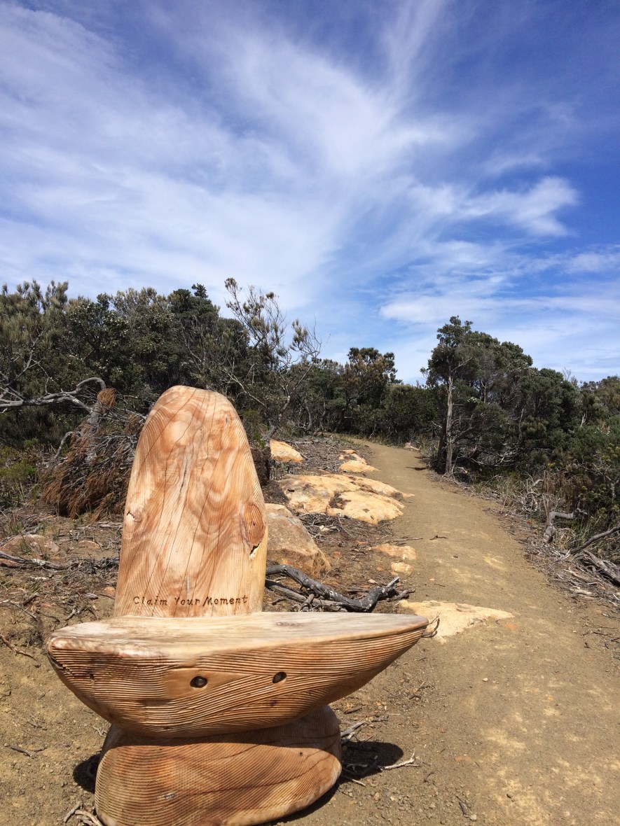 A moment of Mindfulness and Gratitude along the Tasmanian coast