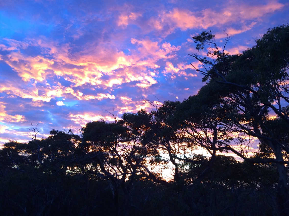 #sunrise #dawnsky #gratitude #threecapestrack #australia #tasmania