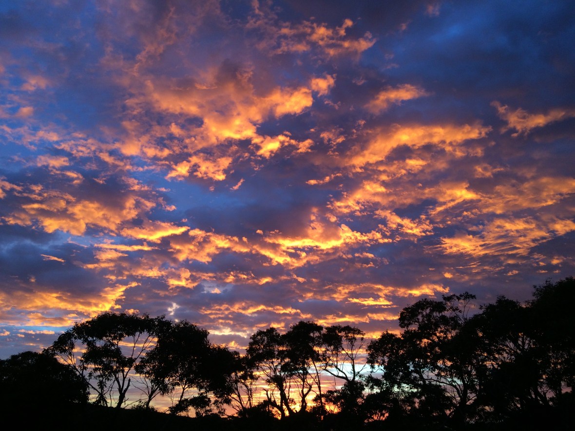 #sunrise #dawnsky #gratitude #threecapestrack #australia #tasmania