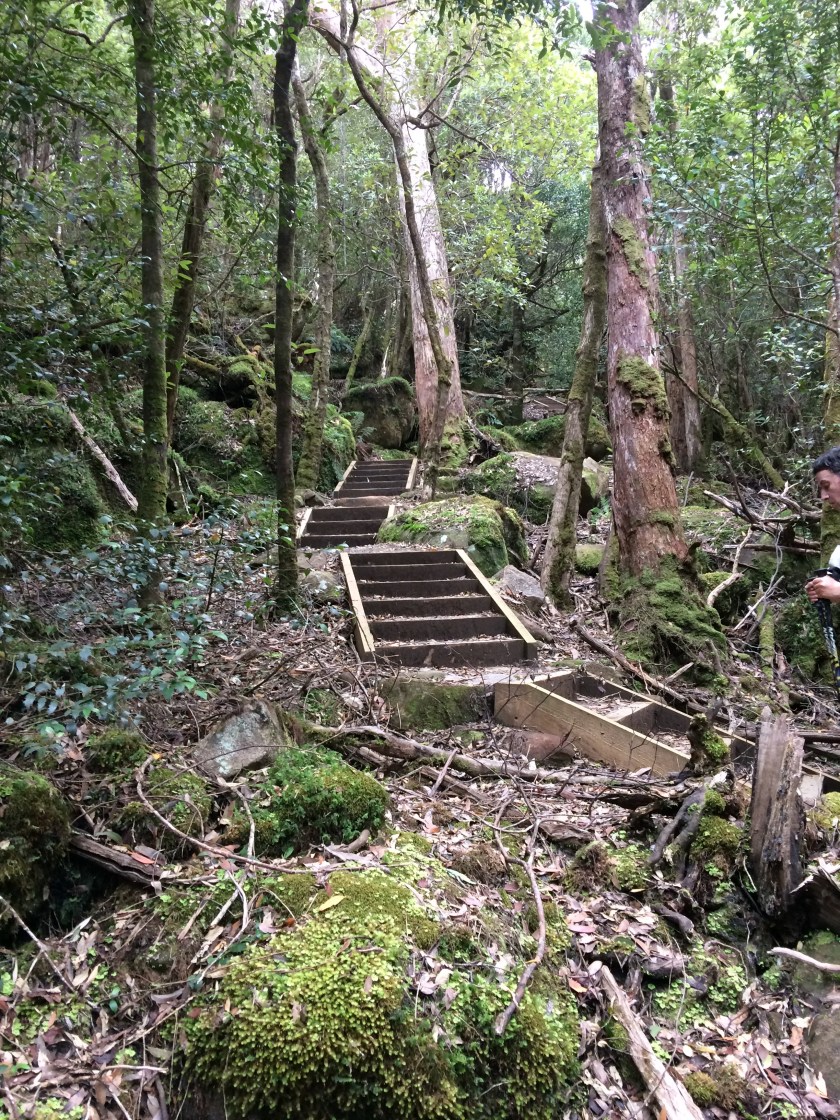 Grateful for Nature and wellbeing in Australia over 50