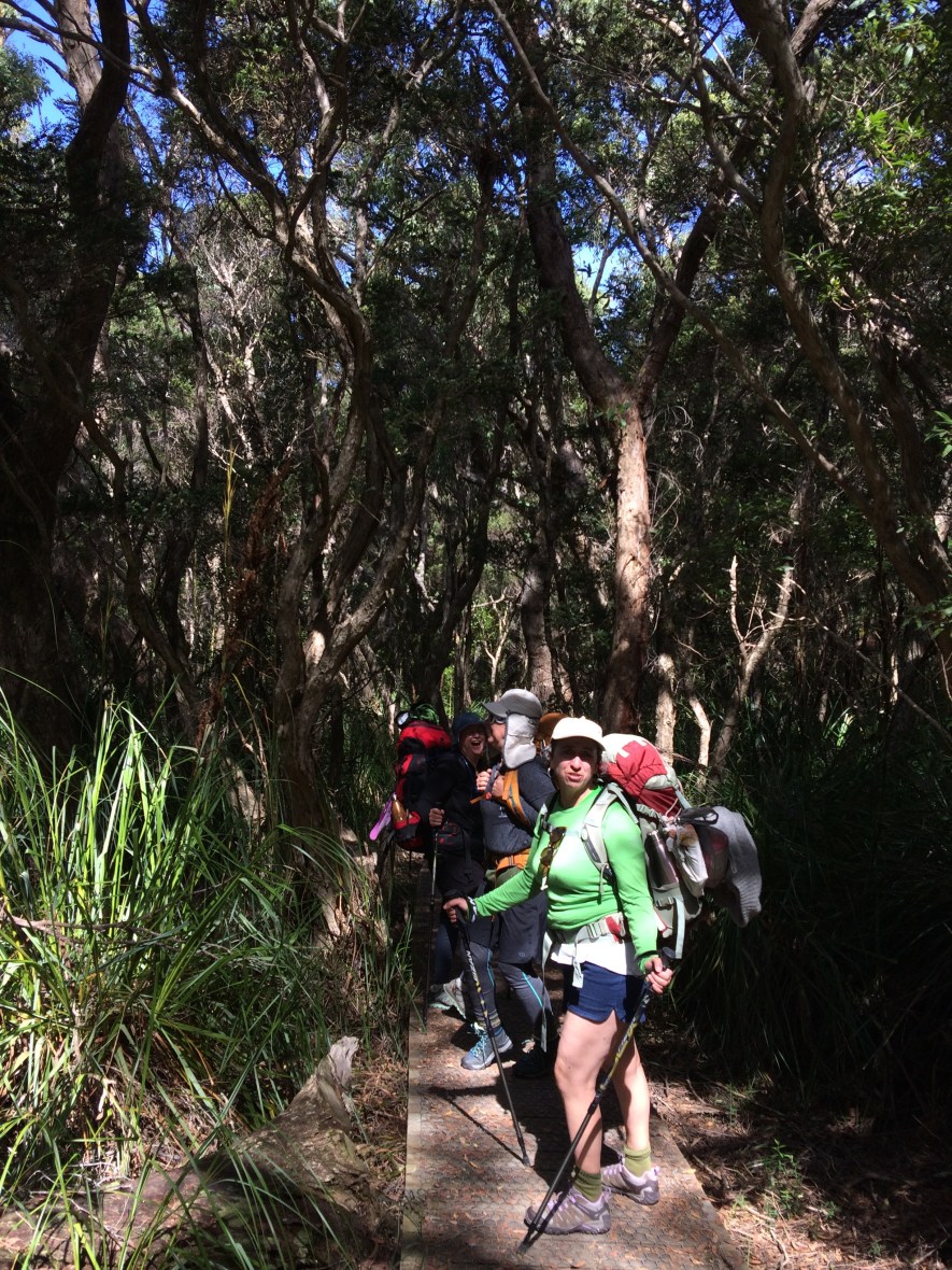 Cliff views on a hiking adventure in Tasmania for wellbeing and a 50th birthday adventure