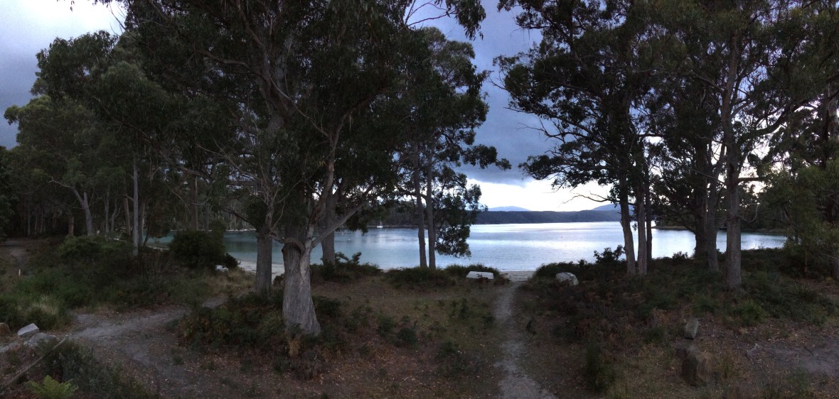 A beach house to recover in #stewartsbay #tasmania #50thbirthday