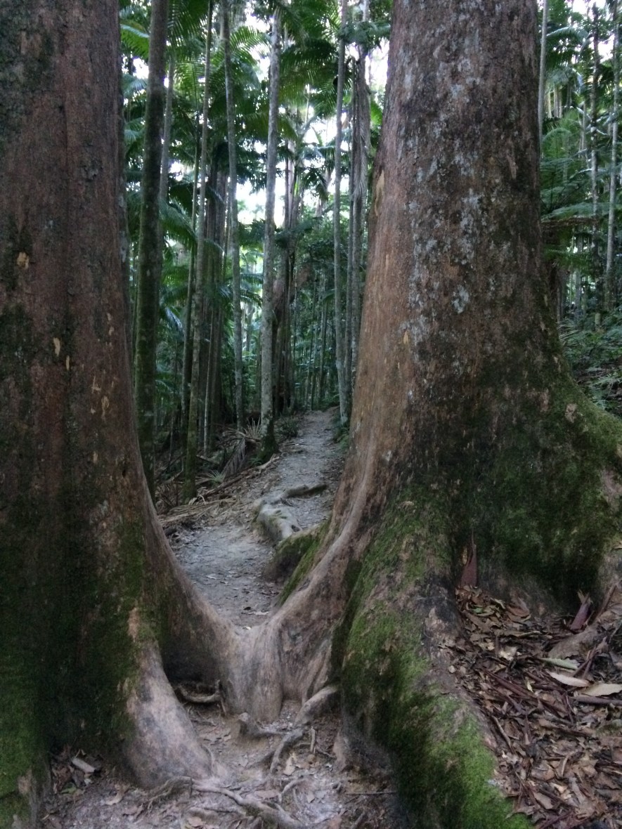 Waterfall in Australia to hike to for Mother's Day self care and wellbeing over 50