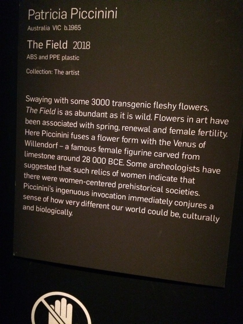 Grateful for Piccinini's wax sculptures in Brisbane at GOMA for art appreciation for wellbeing over 50