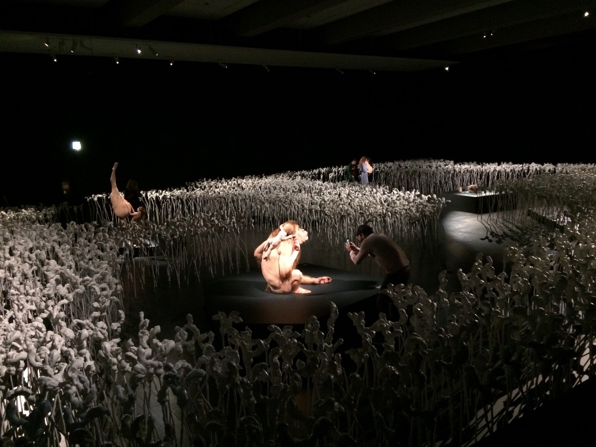 Grateful for Piccinini's wax sculptures in Brisbane at GOMA for art appreciation for wellbeing over 50