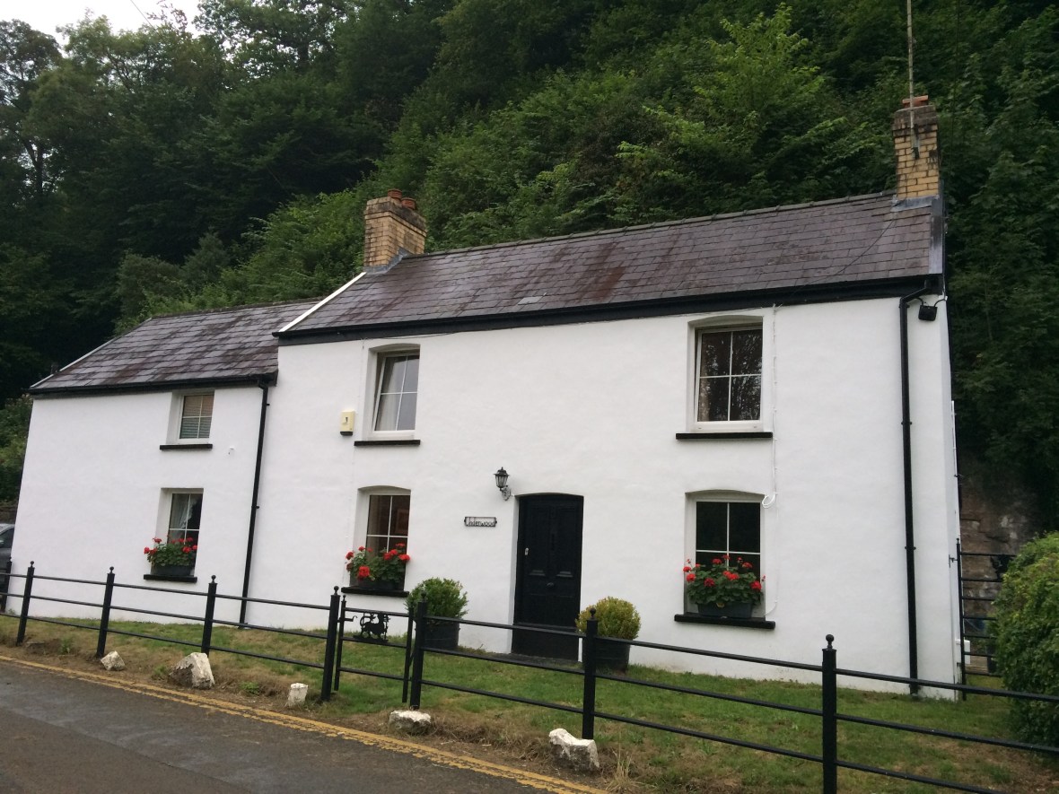 The perfect respite from an aging Mum