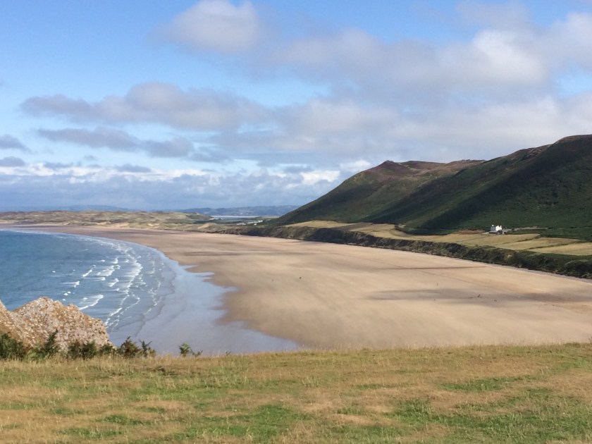 boneAndsilverSunnyBeachToEnd