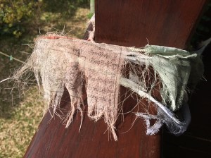 Ready to fly to Nepal with my teenage son to trek over 50