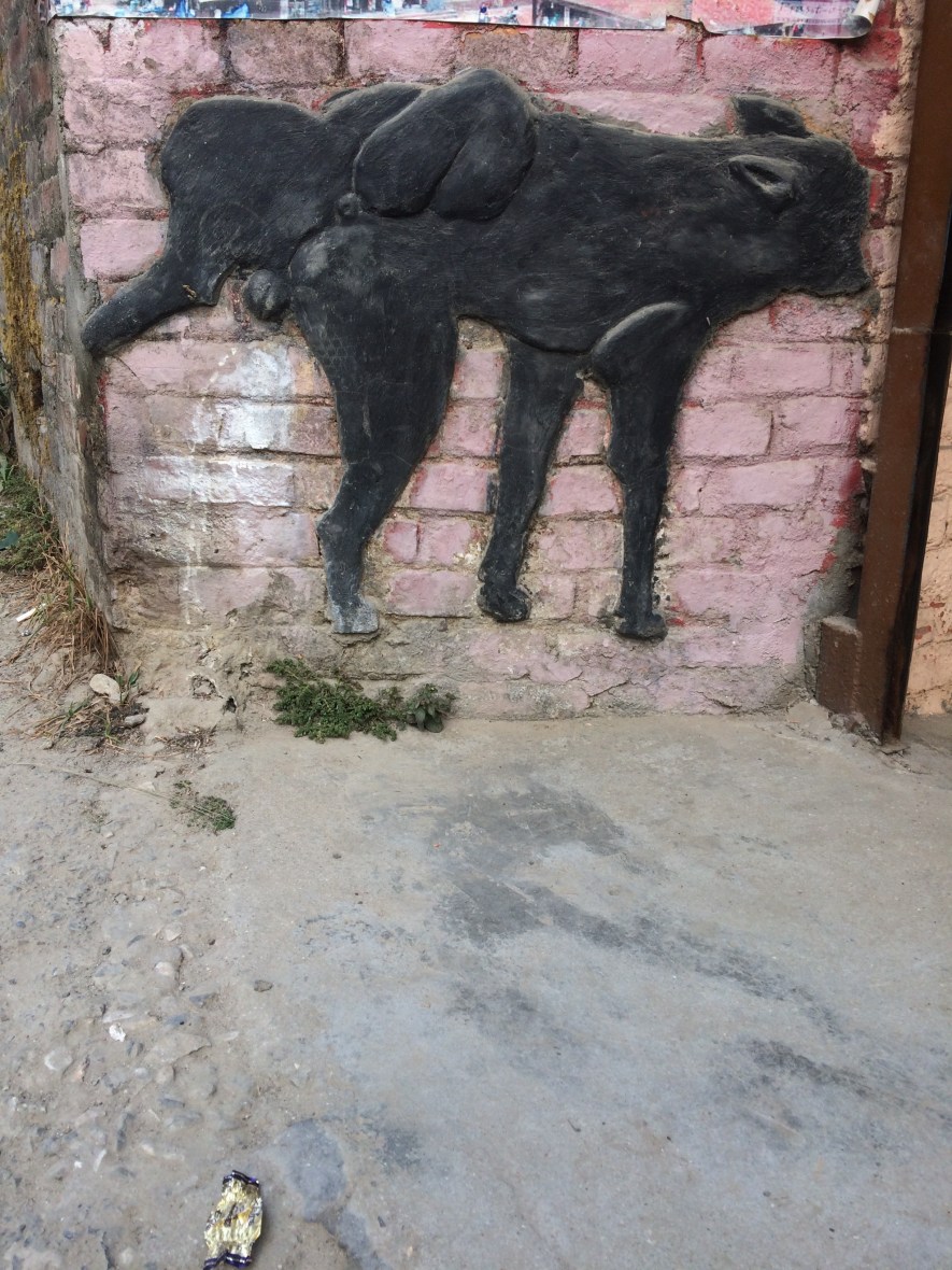 #Kathmandu #graffiti #streetart #city @boneAndsilver