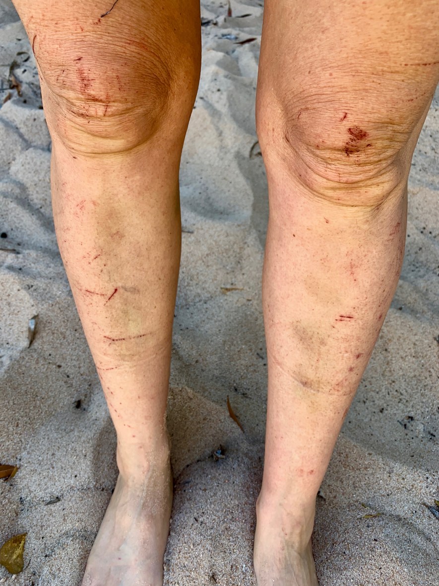 A woman over 50 is a good bushwalker