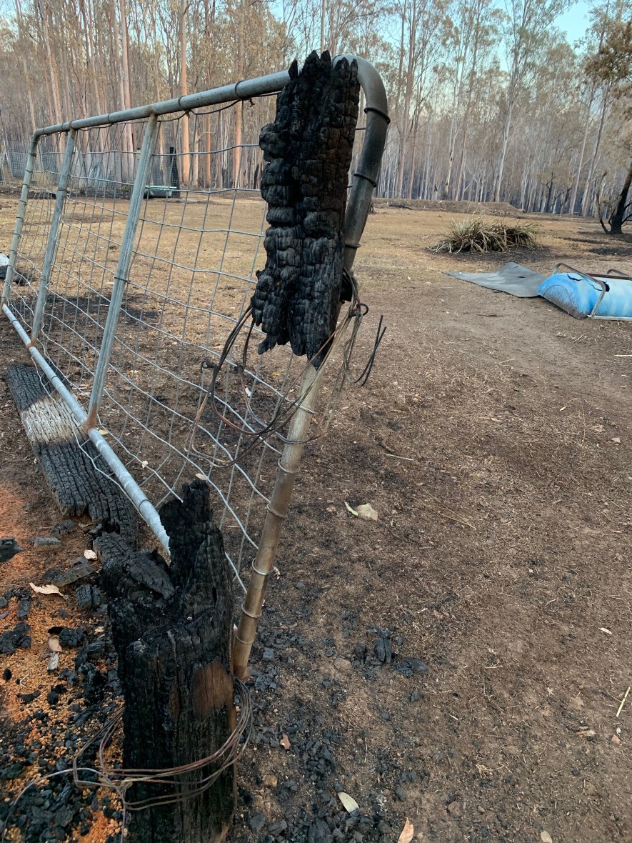 Surviving a bushfire in Australia takes courage & preparation #resilience