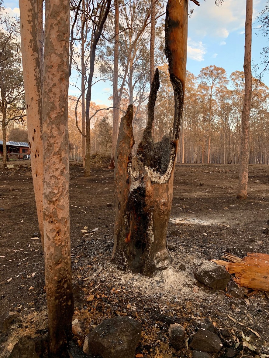 Surviving a bushfire in Australia takes courage & preparation #resilience