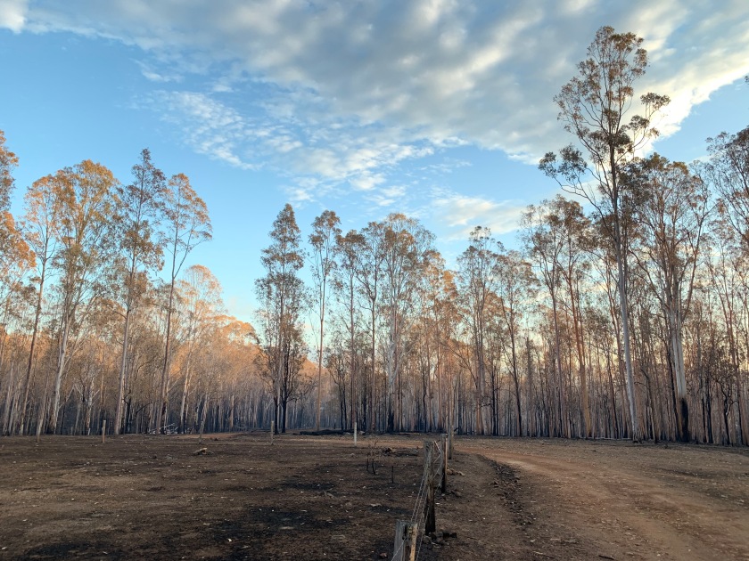 Surviving a bushfire in Australia takes courage & preparation #resilience