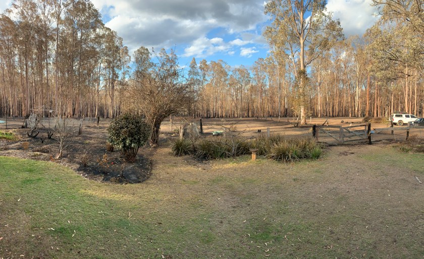 Surviving a bushfire in Australia takes courage & preparation #resilience