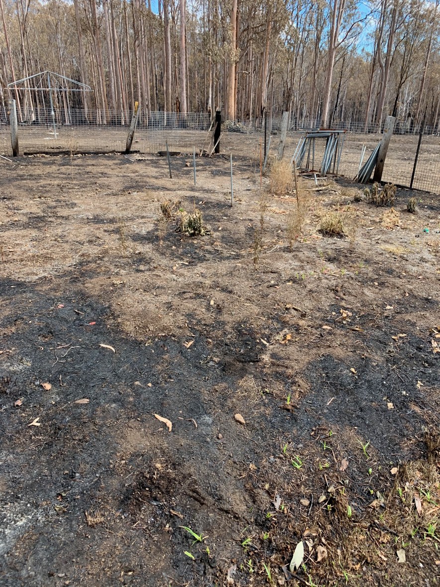 Surviving a bushfire in Australia takes courage & preparation #resilience