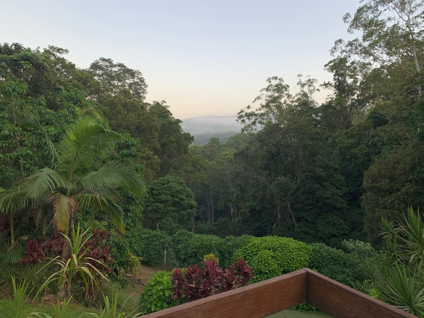So grateful to be locking down here in the rainforest for COVID-19